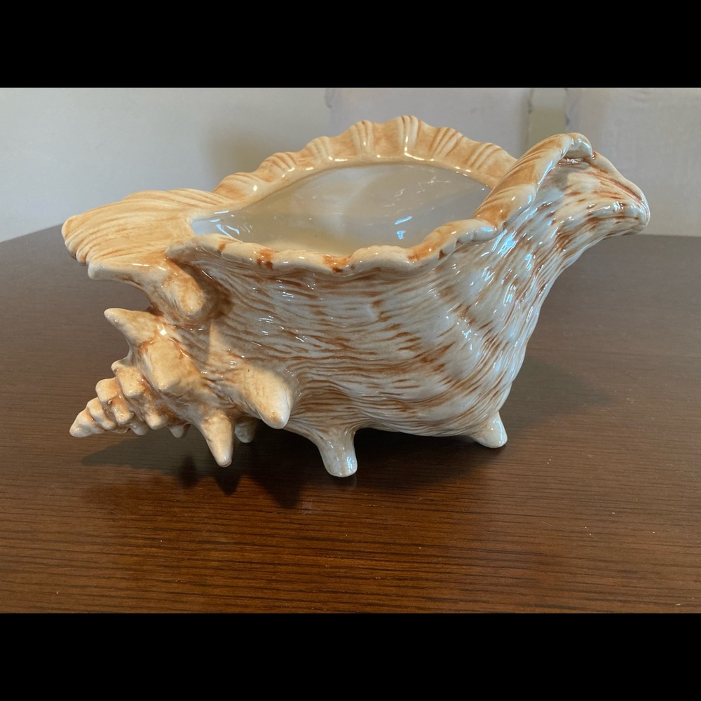 Glass shell decor